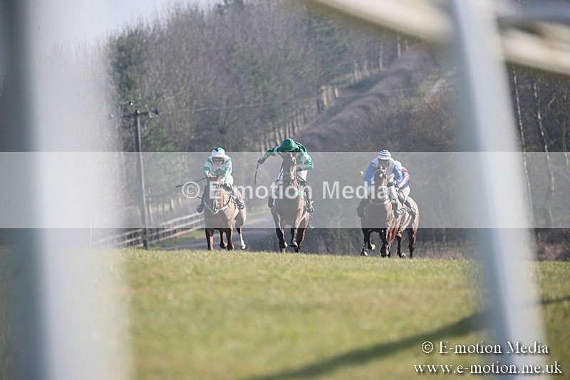 PtP 230219 341 - Vine & Craven Point-To-Point - Barbury 23/02/19