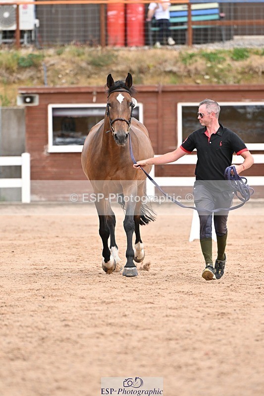 250716-151716-01841 - Trot Up 2.30 to 3.30