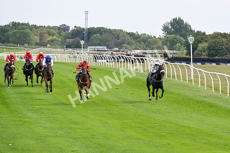 260826-Race 1-Mugheer-2104 - Race 1 14:15 Yorkshire Dales Distillery / EBF Restricted Maiden Stakes