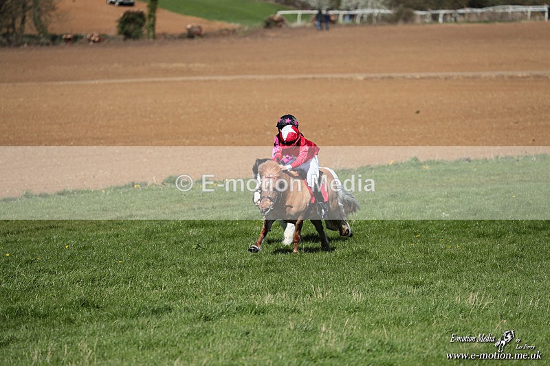 Shet 060426 154 - Shetland Pony Racing Paxford Races Easter Mon 06/04/26