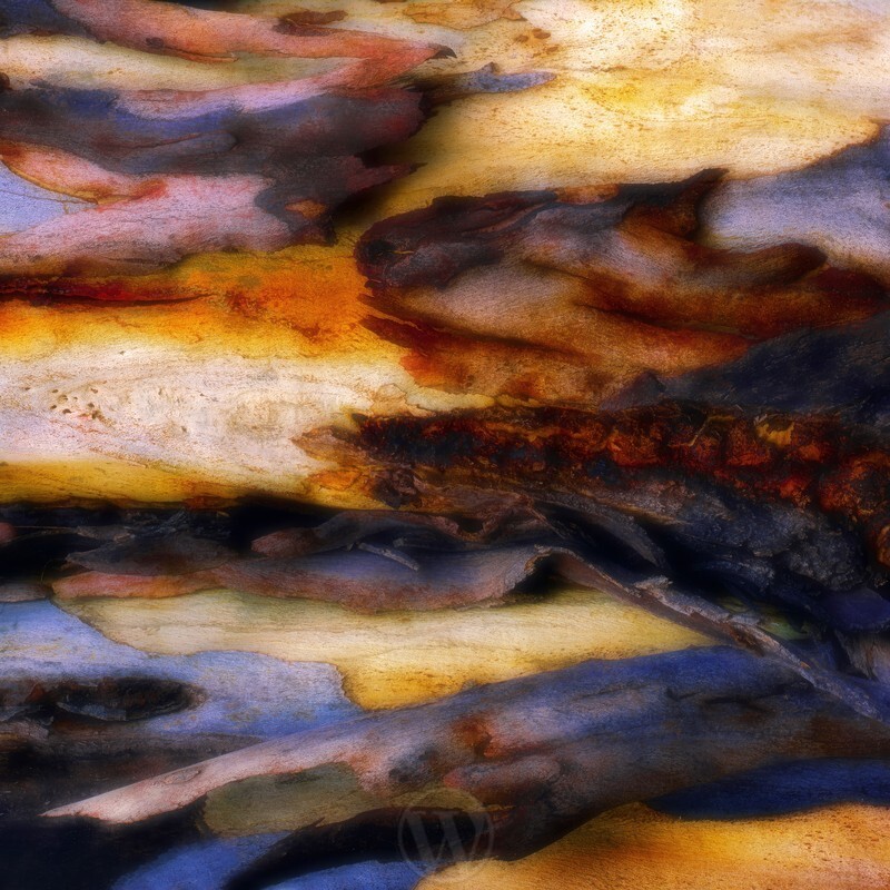 Rare Earth Landscape Detail 1 Abstract - Elemental