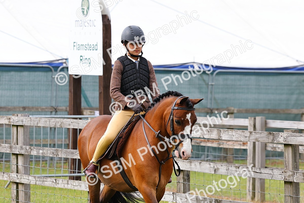 SBM_09621 - Class 44-45 - LIHS BSPS Open Nursery and Cradle Stakes