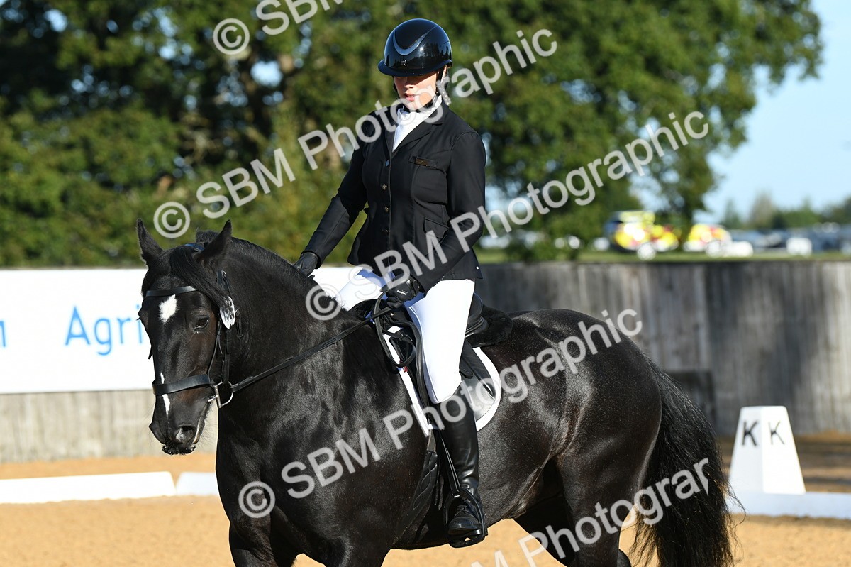 SBM_14502 - D4 - Small Tour Championship - Intro B