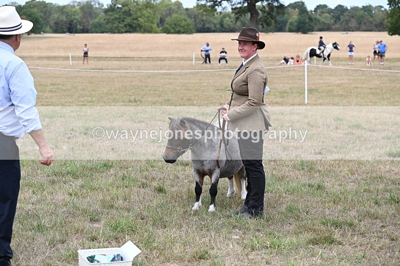 WJ6_5838 - Class 18 In-hand Coloured