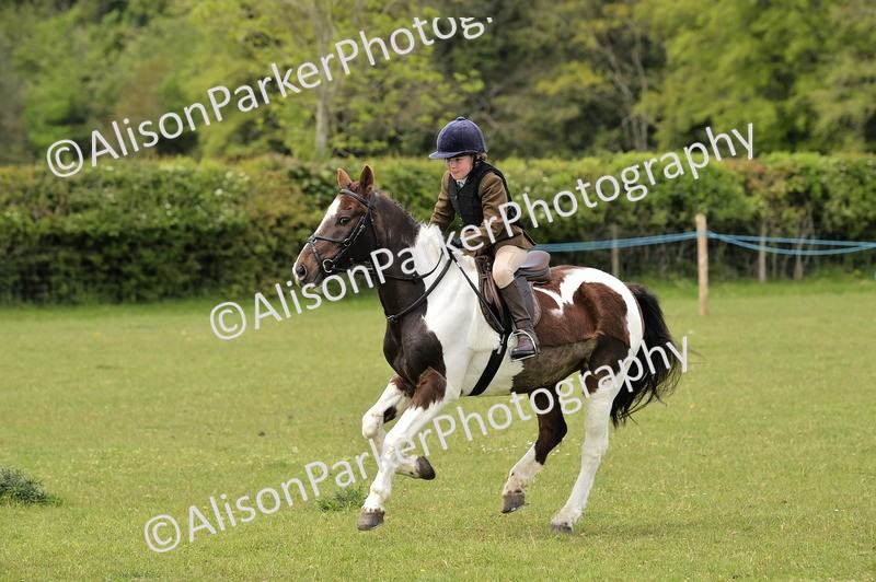 20260426-2432 - Class 21 - Working Hunter Ponies