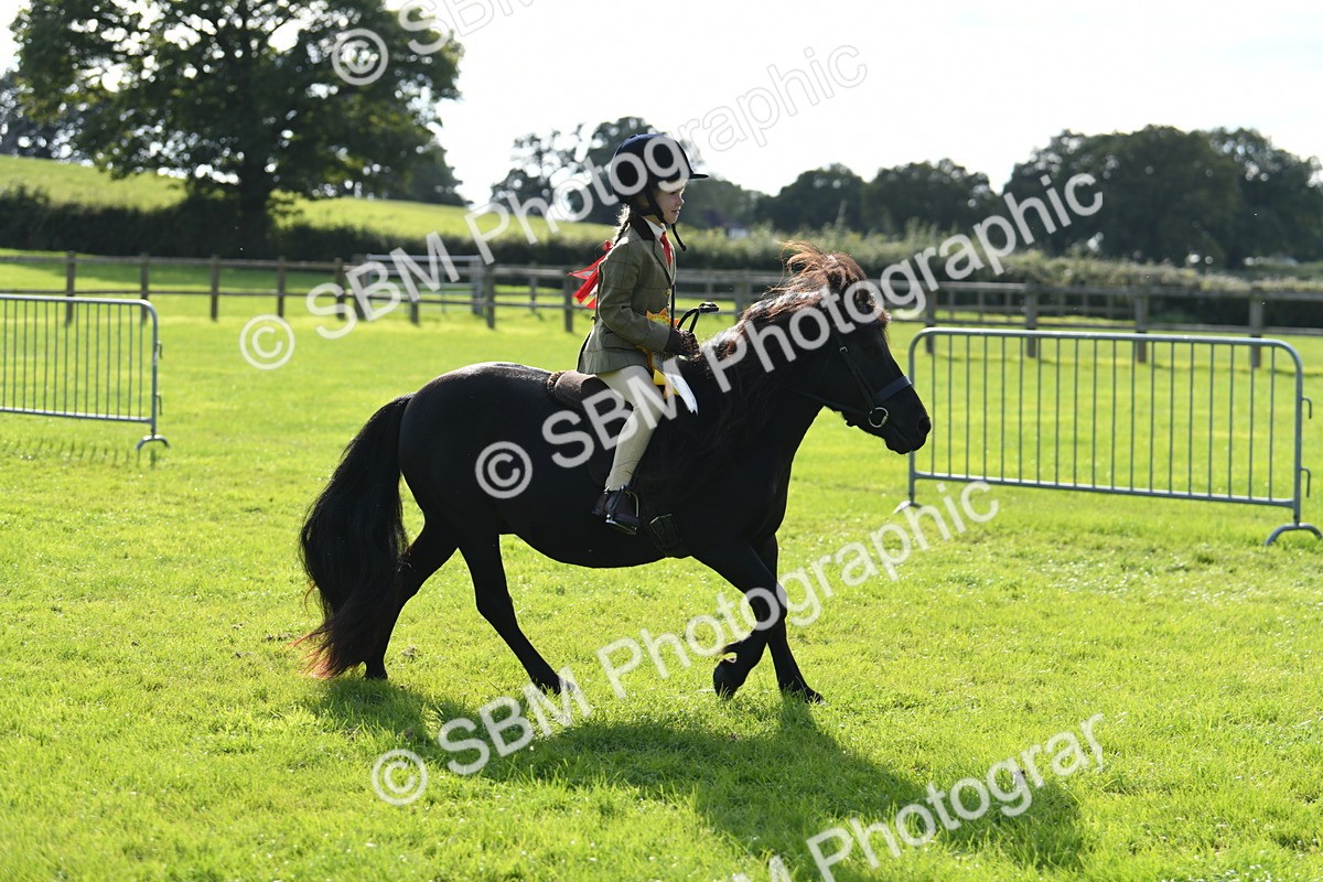 SBM_50514 - S21 - Novice & Newcomers 1st Ridden Pony