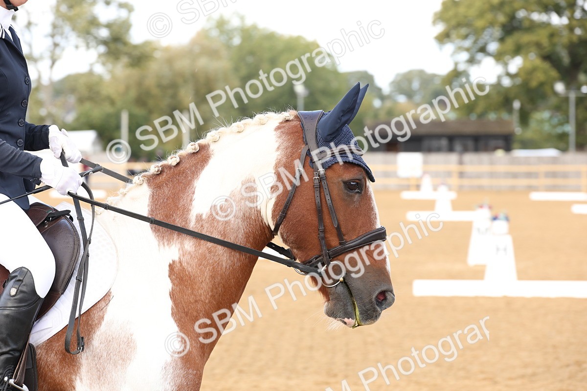 SBM_47481 - D12 - Small Tour Championship prelim 2