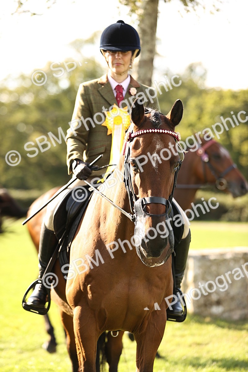 SBM_26500 - S6 - Novice & Newcomers Ridden Horse