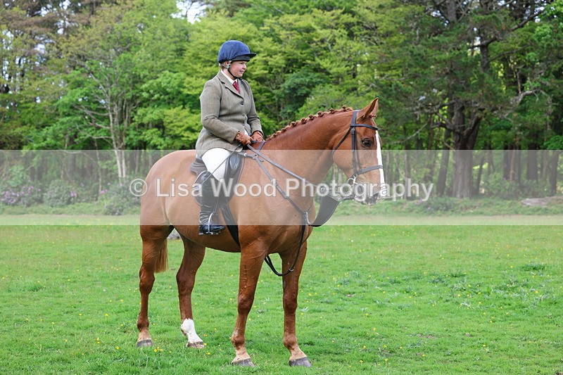 3E7A2603 - Classes 30 and 31: 80cm Working Hunter