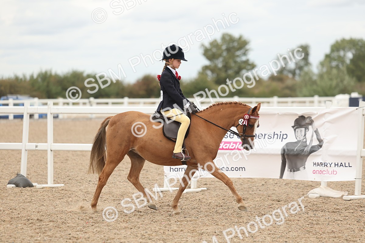 SBM_19111 - Class 316 - Best Pony-Rider Combination