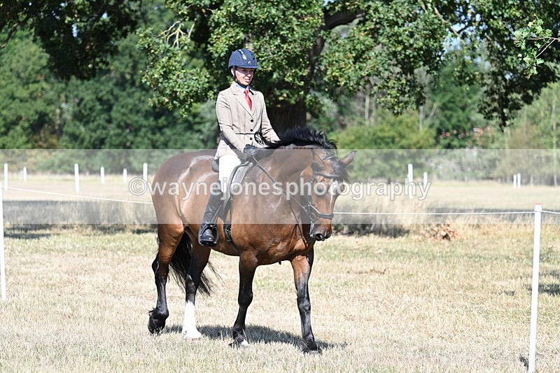 WJ7_3375 - Class 9 Mountain & Moorland Ridden