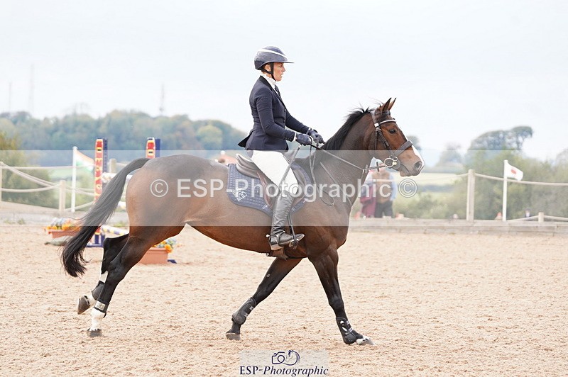 241004A-144916-00810 - Fri 04 Snr Fox & 1.20m Open