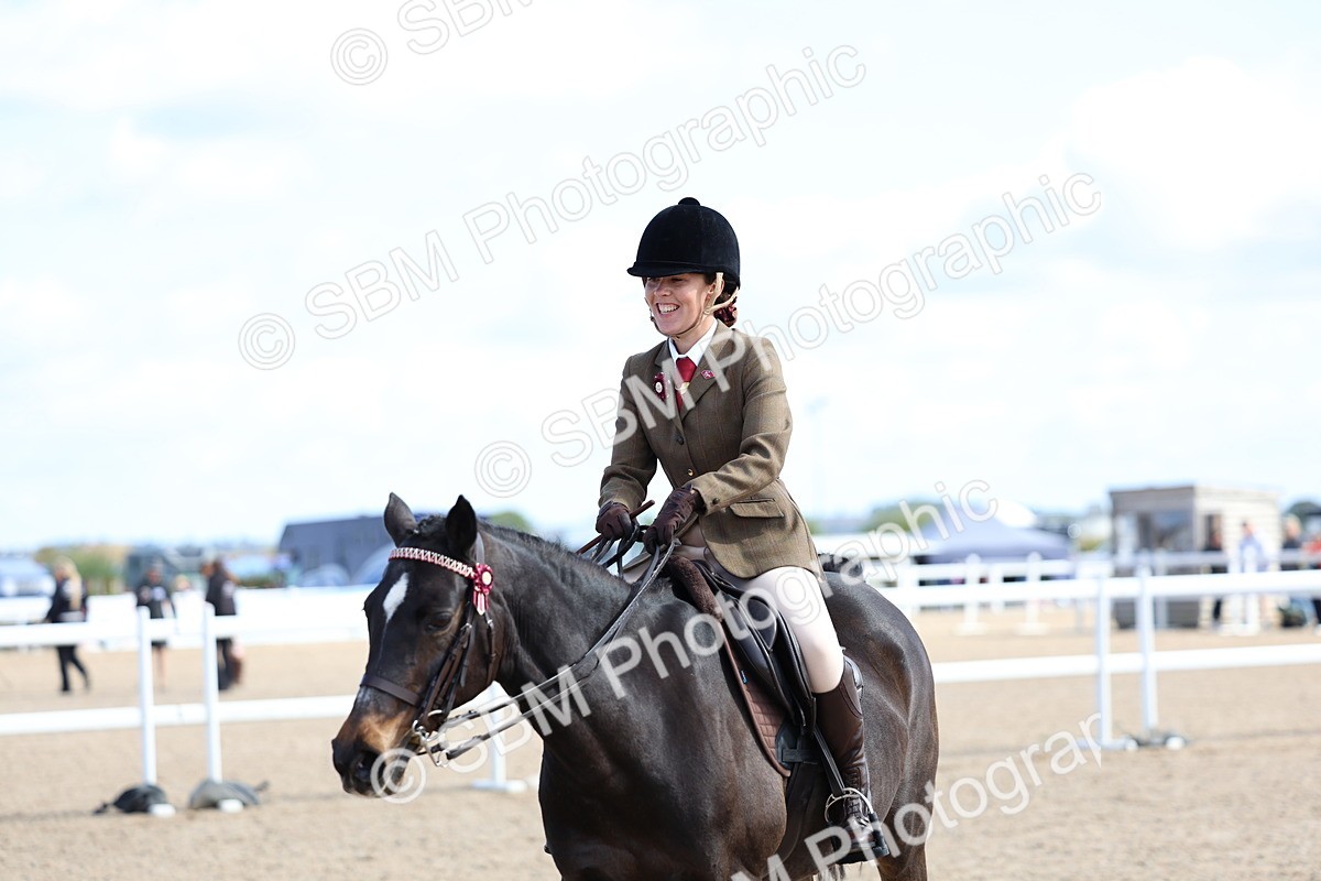 SBM_11239 - Class 306 - Ridden Foreign Breeds - Part Bred