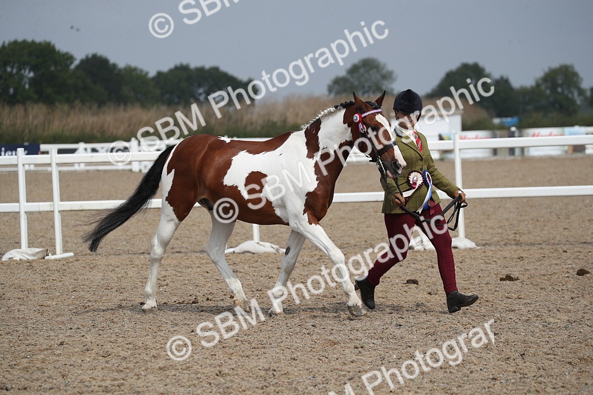 SBM_23206 - Class 605 - 2025 Area - IH Veteran