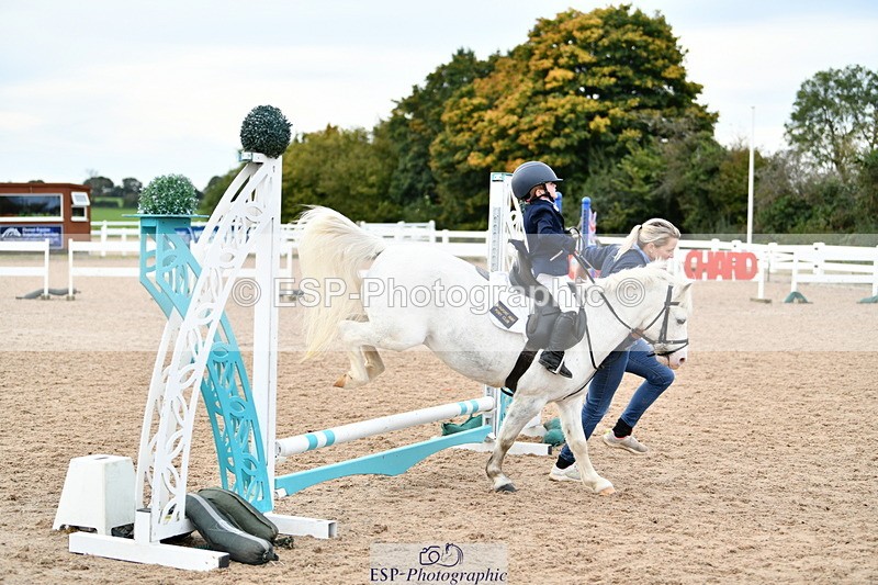 241013B-101208-00312 - Cls 2c 40cm Lead Rein