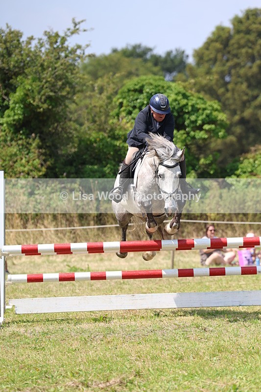 3E7A2930 - Class 7: Senior British Novice/90cm open