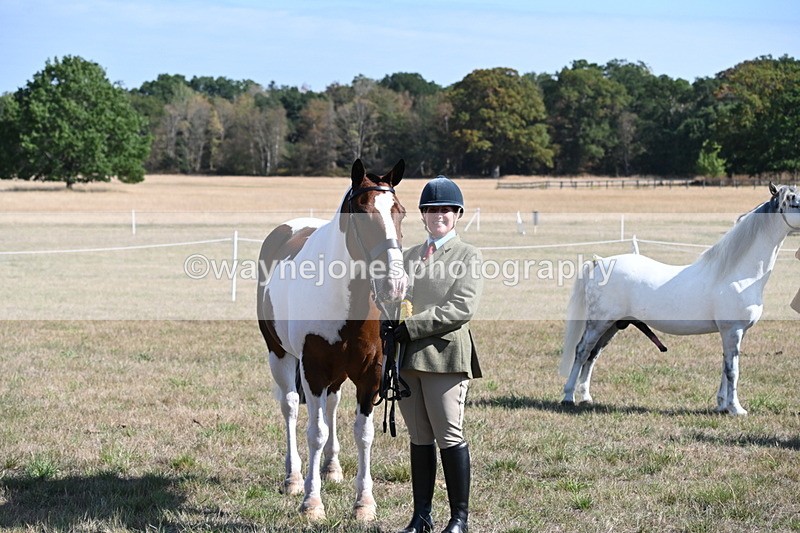 WJ6_4332 - Class 16 Condition & Turn Out