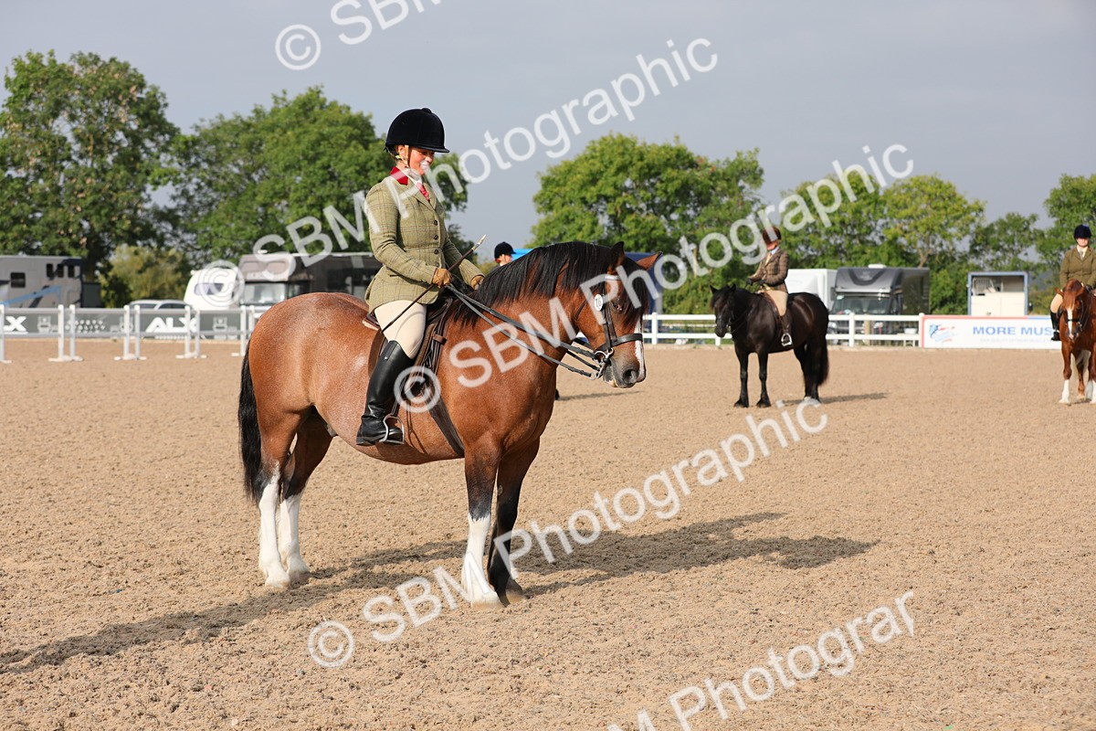 SBM_10096 - Class 302 Ridden M&M -Large Breeds