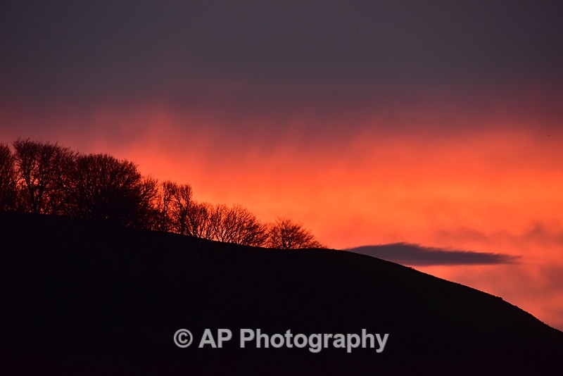 ACP_7753 - Tanybwlch