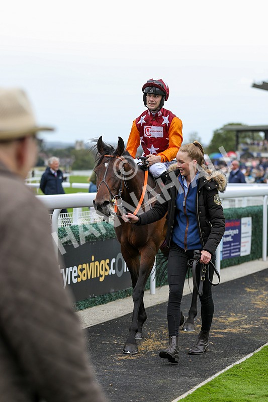 250824-Race 5-Lincoln Rockstar-9456 - Race 5