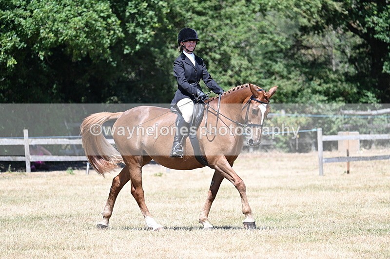 WJ7_2979 - Class 7 Riding Club Show Horse