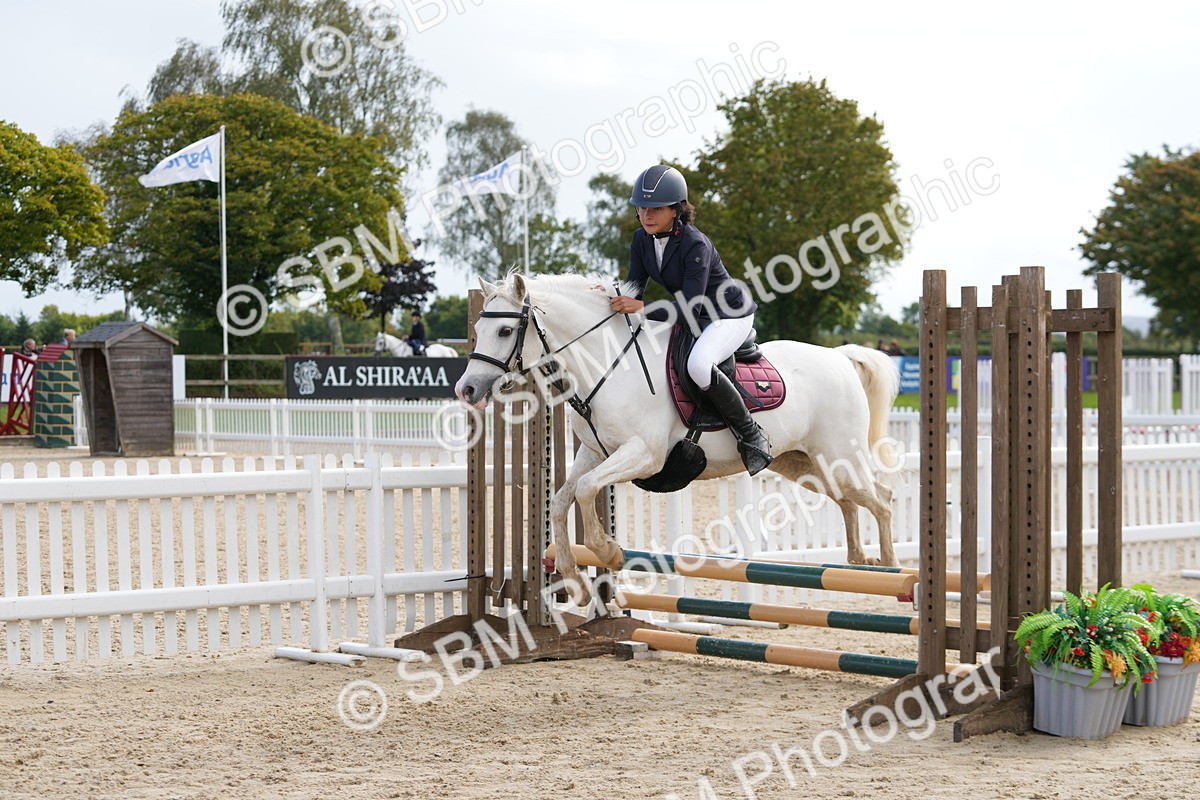 SBM_40804 - Supreme Championship Pony 50-55cm