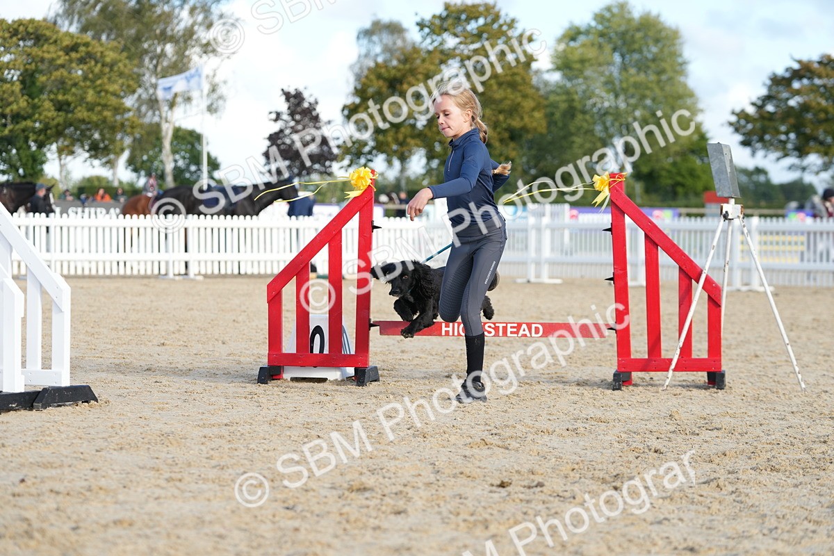 SBM_29122 - J43 - Horse & Hound Open 50cm