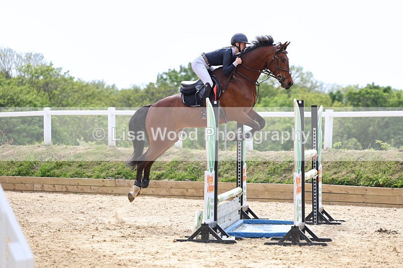 3E7A7687 - Class 8: Senior Foxhunter/1.20 open