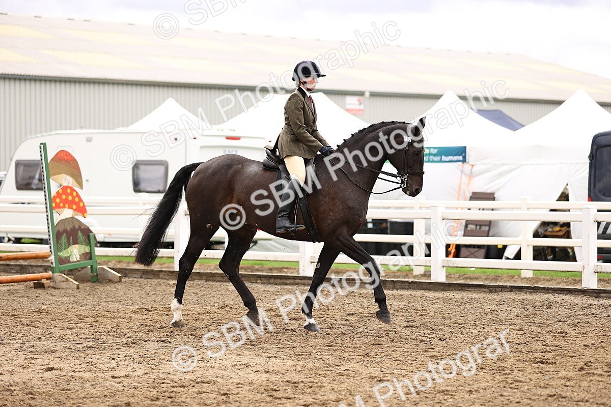 SBM_00531 - Class 53 - Ridden Competition Horse Pony