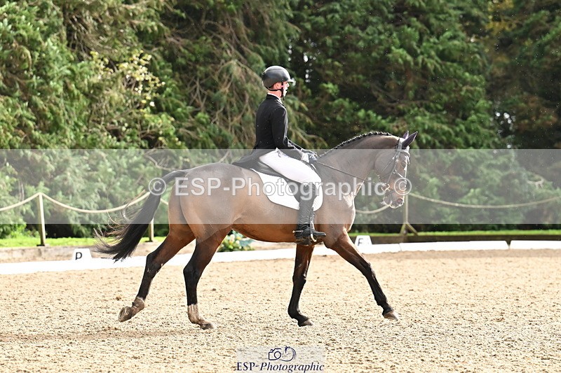 251023A-143334-05252 - C-248-Jonny.Lee