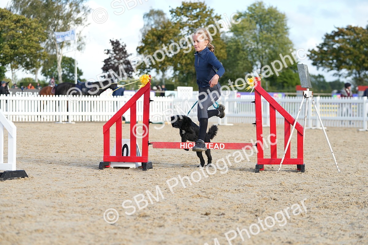 SBM_29119 - J43 - Horse & Hound Open 50cm