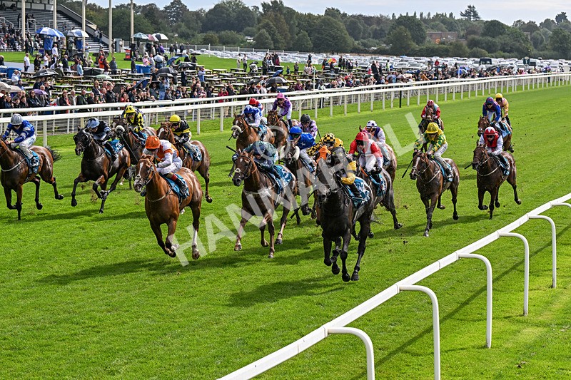 060926-Race 2-Oriental Prince-0109 - Race 2 2.05pm Fine Details Car Valeting Sprint Handicap