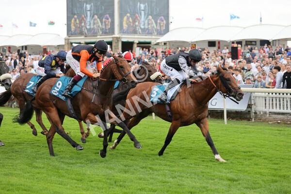 yr04092022r2-31 - Race 2 2.20pm John and Judith Marshall Memorial Stakes