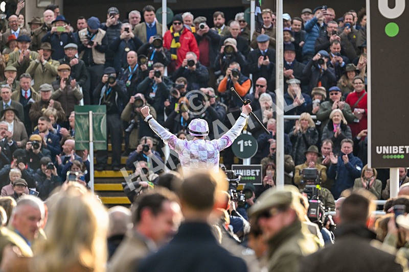 110325-Race 5-Golden Ace-3598