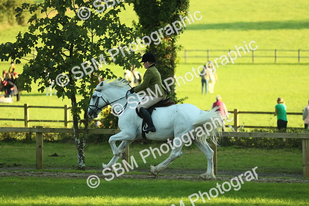 SBM_55617 - S14 - Riding Club Horse