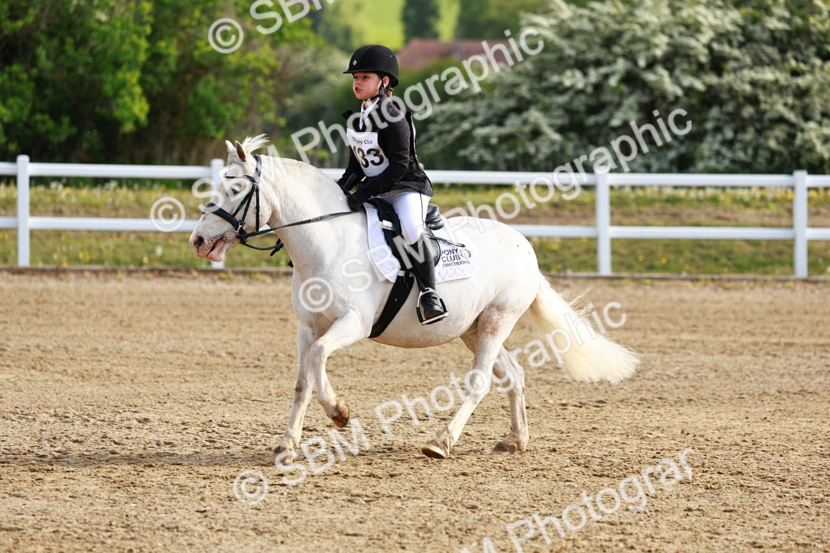 SBM_006408 - Class 1 - 40cm