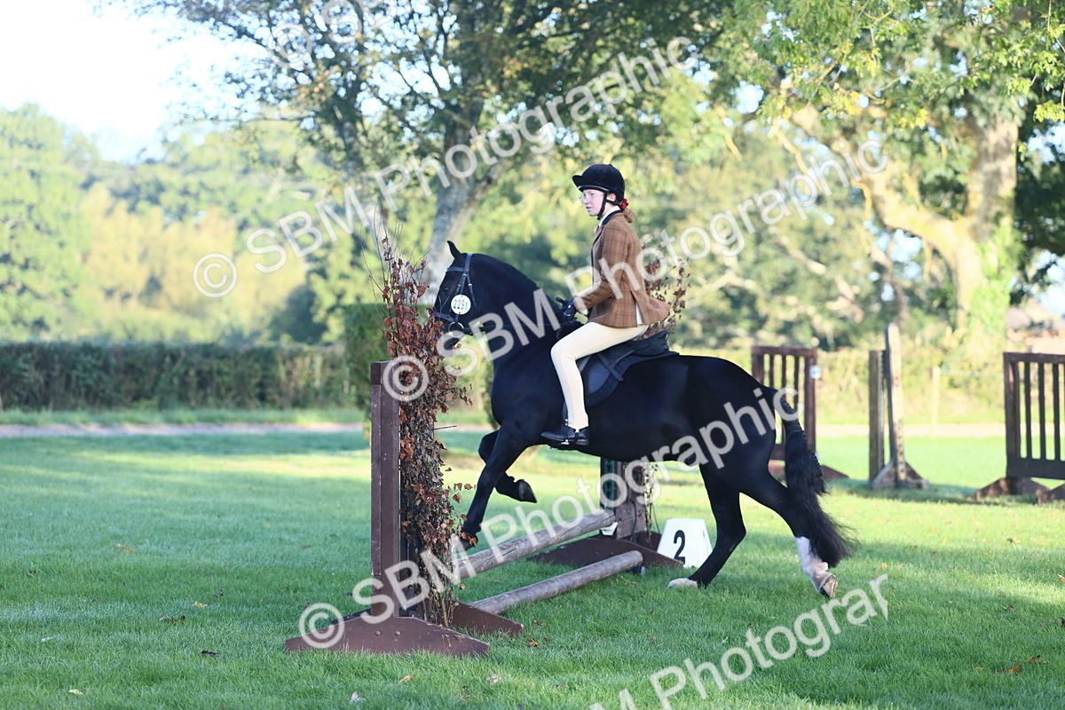 SBM_31929 - S28 - Nursery Stakes Working Hunter Pony