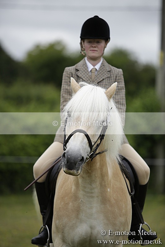 BVR160717-1564 - Ring 1 BVRC Show 16/07/17