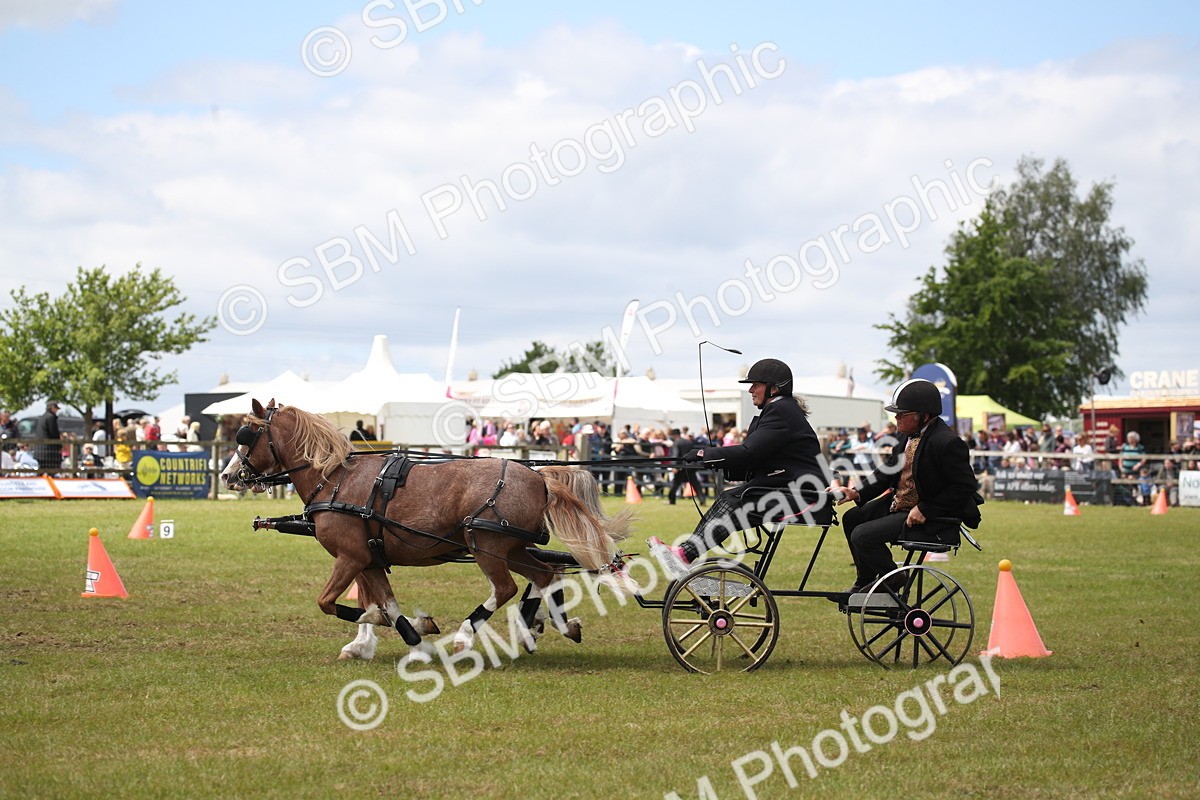 SBM_15500 - Class 90 - Scurry 122cm and Under