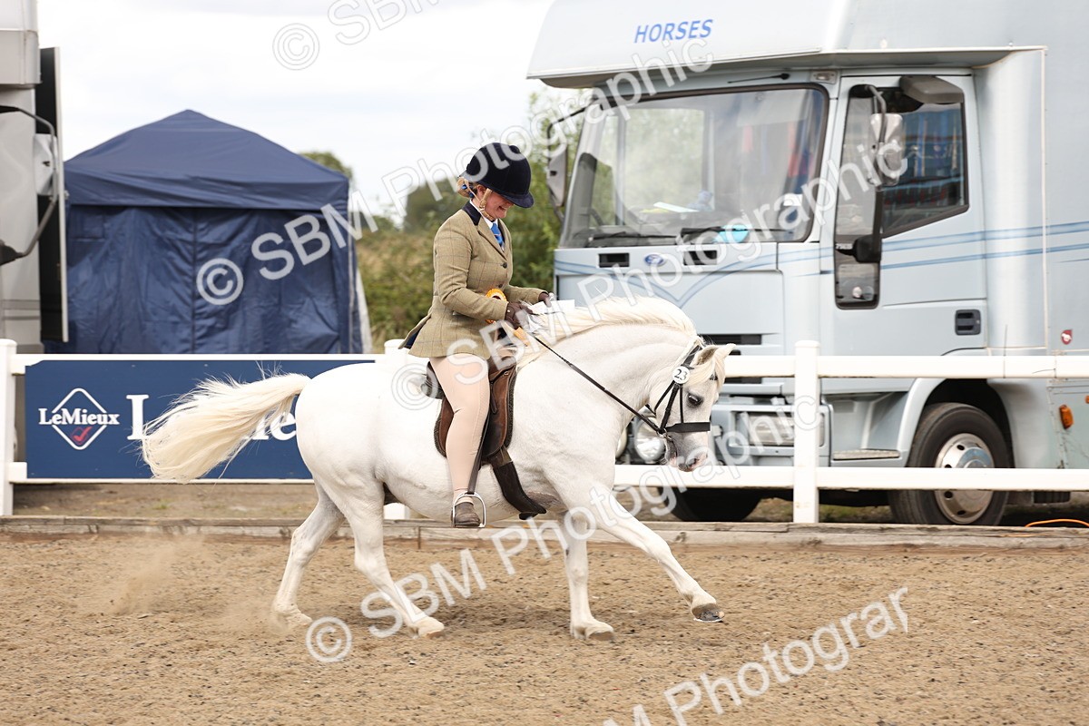 SBM_05247 - Class 56b -  Style & Performance - 50cm (20+)