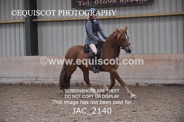 JAC_2140 - CLASS 1 Nursery Novice Working Hunter