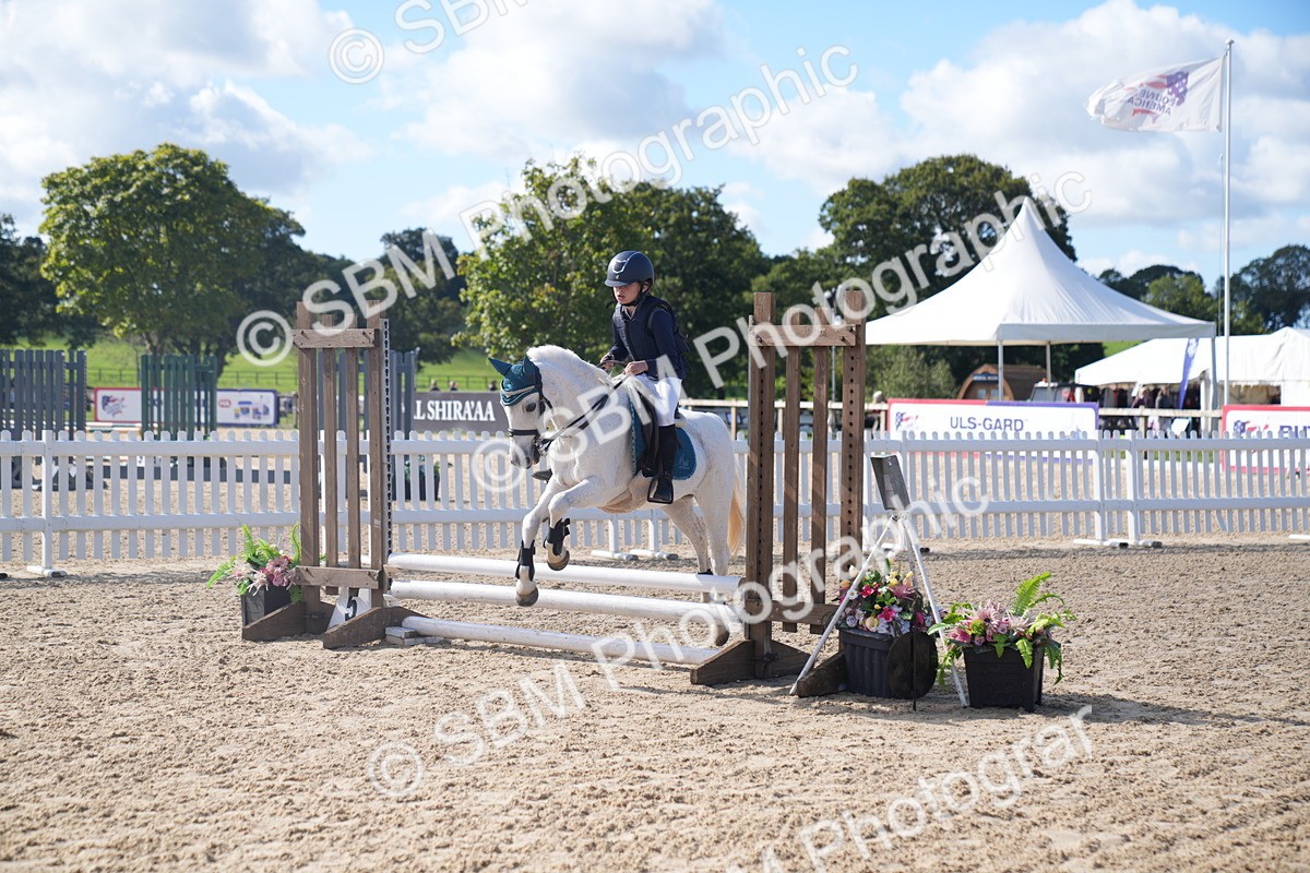 SBM_02472 - J54 Clear Round 45cm