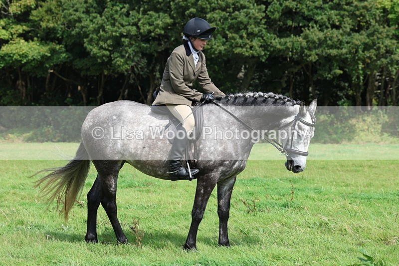 3E7A6019 - Class 28: 75cm Working Hunter