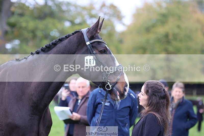 251026A-104802-23284 - F-467-Shareen.Akhtar