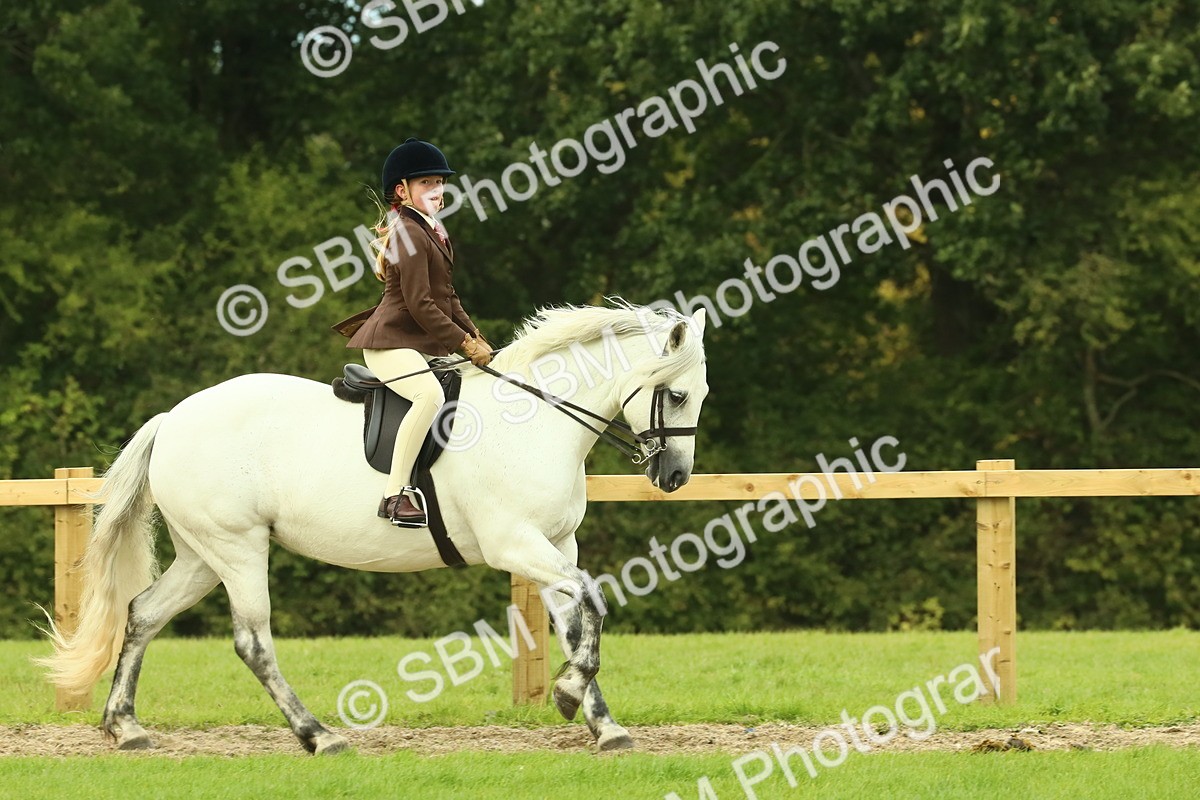 SBM_71907 - S60 - Mountain & Moorland Ridden Large Breeds