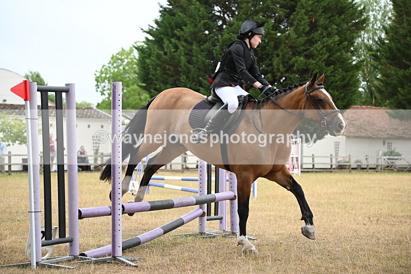 WJ6_0169 - Class 13 Novice Jumping 60cm