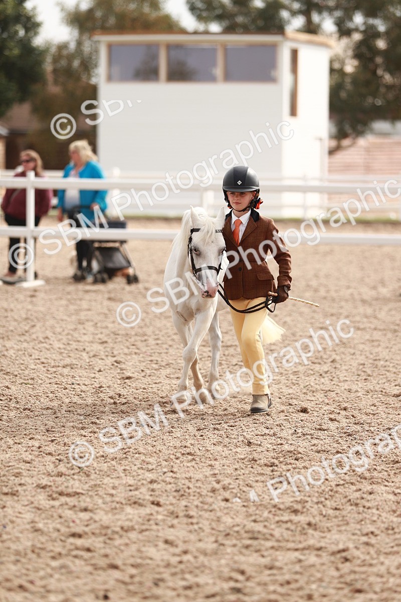 SBM_11825 - Class 206 IH Non Show Type Pony