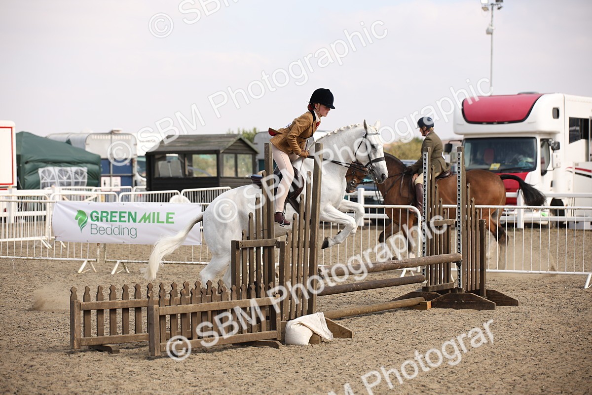 SBM_15044 - Class 408a - Working Veteran 70cm (15-19