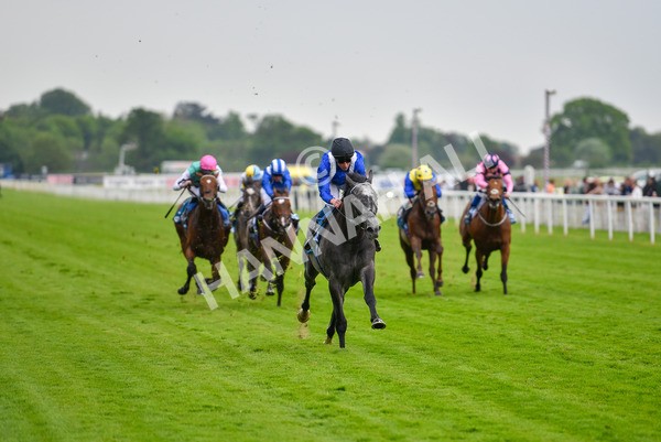 190523-Race 5-Mostabshir-0899 - Race 5 4.10pm Darley Novice Stakes
