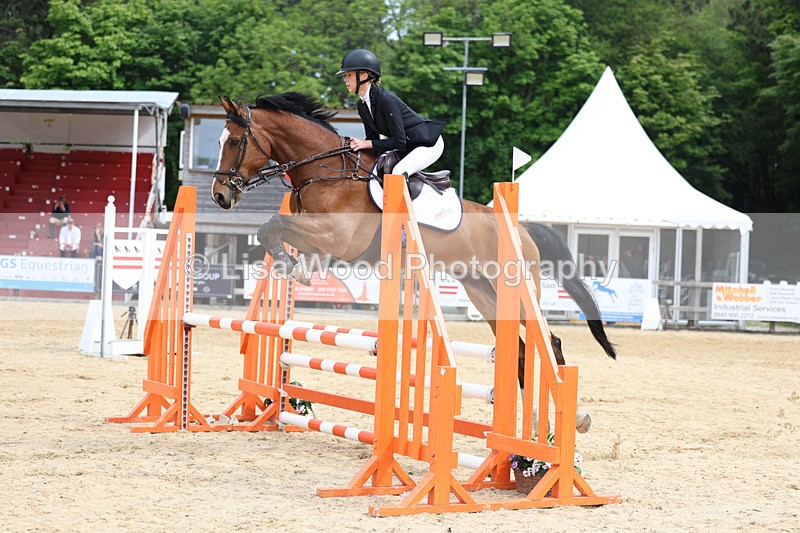 3E7A8562 - Class 4: Senior British Novice/90cm open